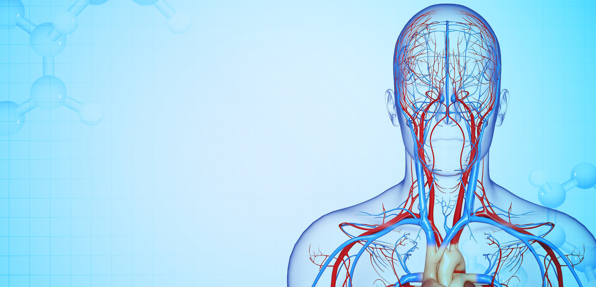 NINGBO LINSTANT POLYMER MATERIALS CO,. LTD.